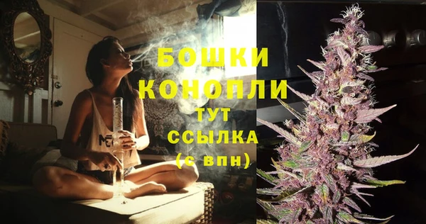 PSILOCYBIN Елизово