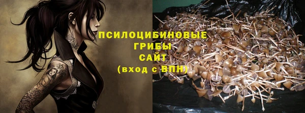 PSILOCYBIN Елизово