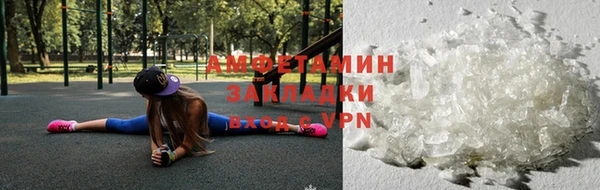 сатива Бердск