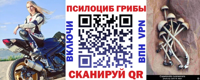 хочу   Данков  blacksprut зеркало  Галлюциногенные грибы мицелий 